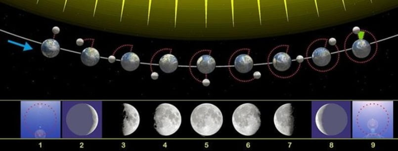 Tìm hiểu về trend "The moon on ngày tháng năm sinh"