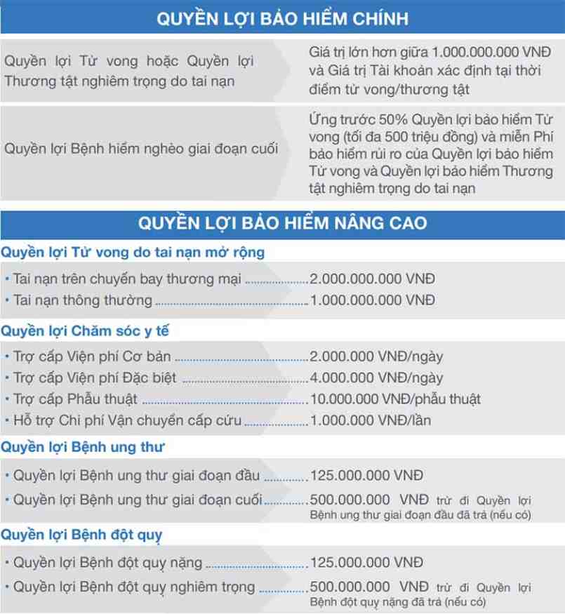 Bảng minh họa bảo hiểm Bảo Việt là gì?