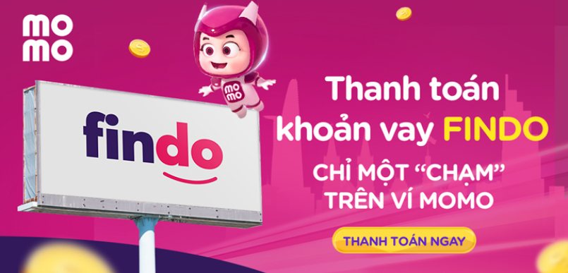 Hỗ trợ thanh toán Findo vn qua MoMo