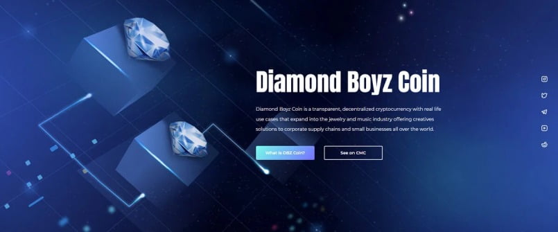 Đặc điểm nổi bật của dự án Diamond Boyz Coin