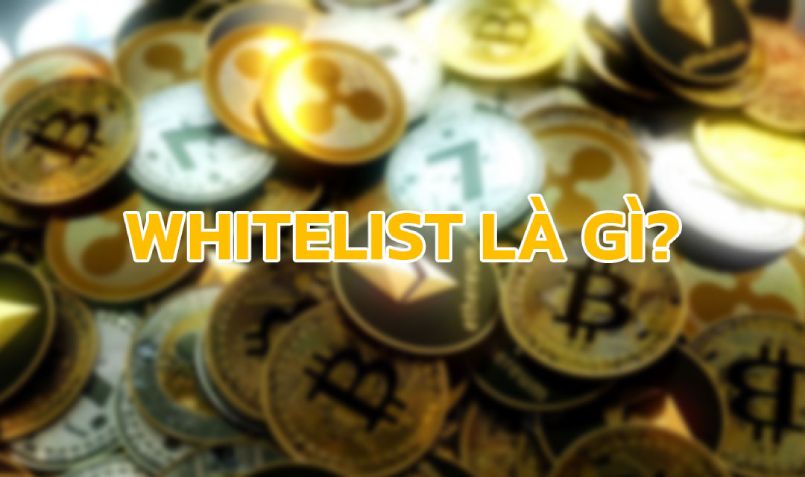 Whitelist là gì?