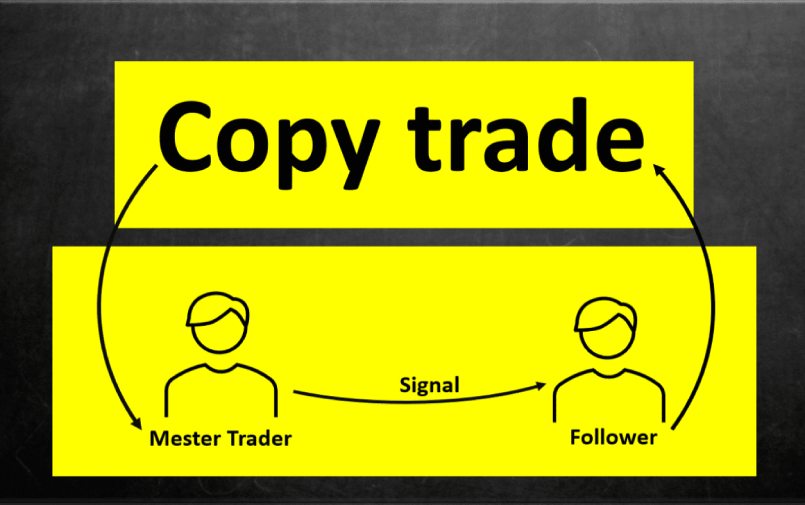 Copy trade là gì? Những điều chưa biết về Copy Trade trong Forex