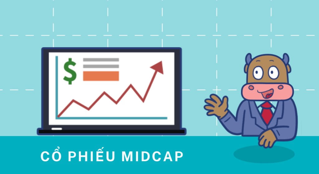 Cổ phiếu Midcap là gì?Chia sẻ danh sách cổ phiếu Midcap năm 2022