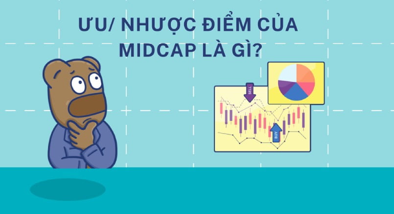 Ưu và nhược điểm của nhóm cổ phiếu MidCap