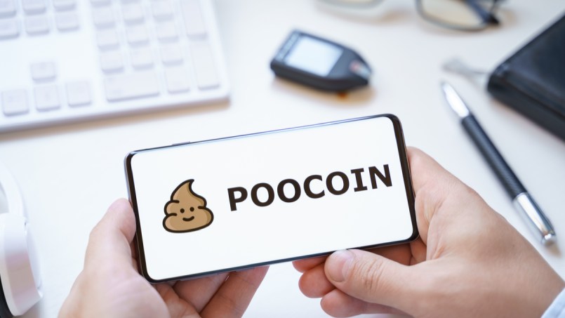 PooCoin là gì? Hướng dẫn sử dụng PooCoin App hiệu quả 2022
