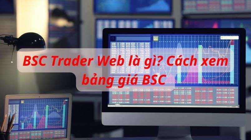 BSC Trader Web là gì? Cách xem bảng giá BSC trong chứng khoán