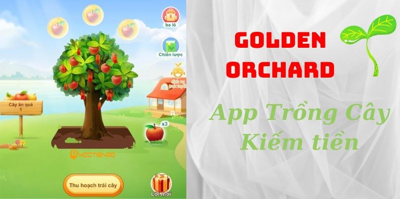 Golden Orchard là gì? Cách kiếm tiền từ App Golden Orchard